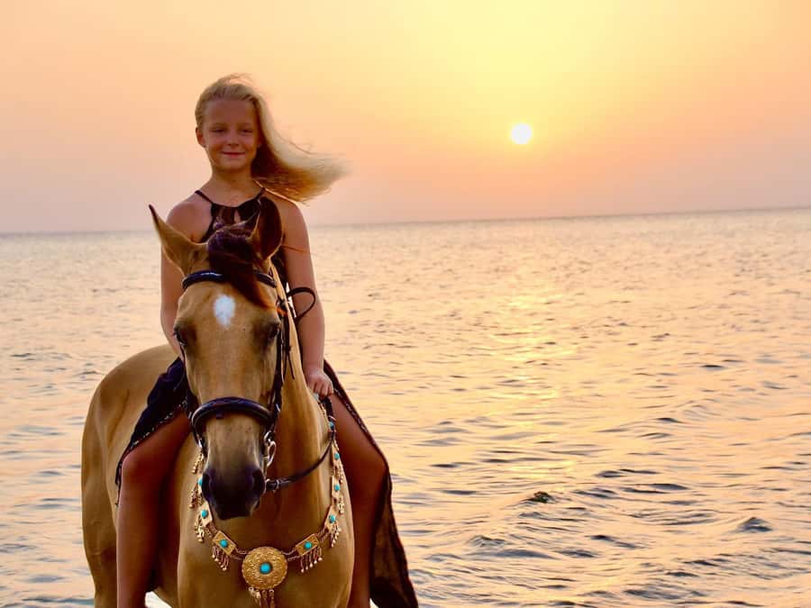 Makadi Bay: Horse Riding in Desert & Sea w Guide + Transfers - What Riding the Horses May Feel Like