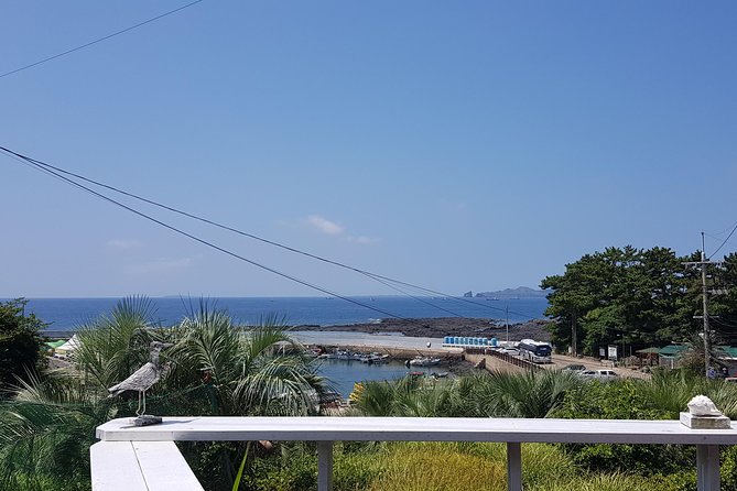 Making Jeju Pony Doll at Peaceful Seaside cafe - Sewing Beside the Quiet Ocean