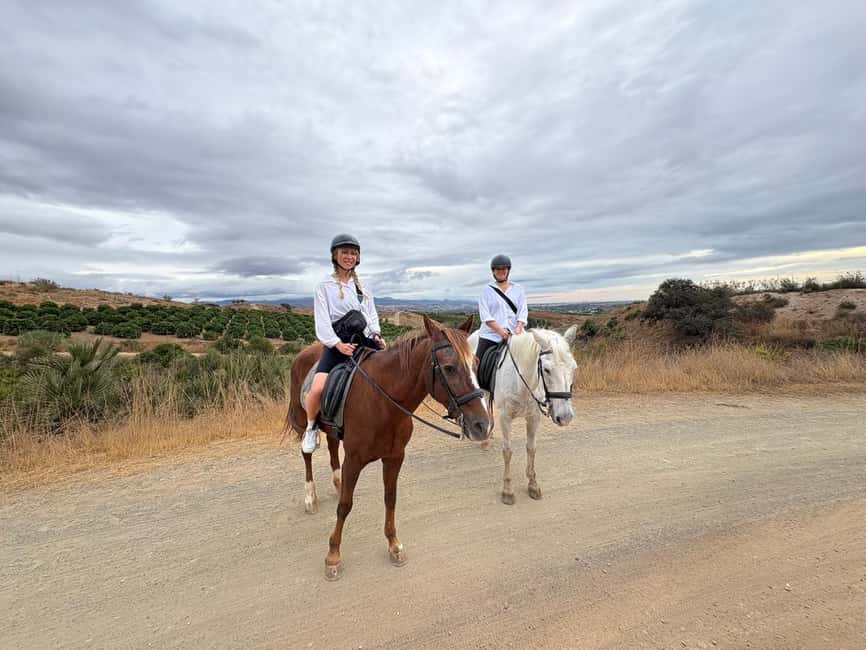 Malaga – 1-hour Horseback Riding Tour with a Local Guide through the Guadalhorce Valley - Getting there from Málaga