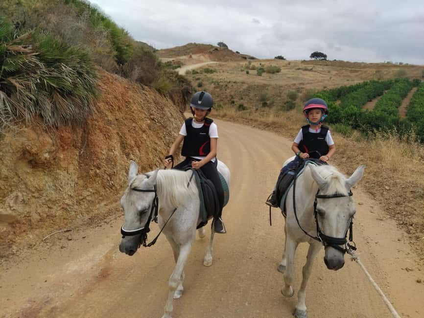 Malaga – 1-hour Horseback Riding Tour with a Local Guide through the Guadalhorce Valley - Meeting the horses before the trail