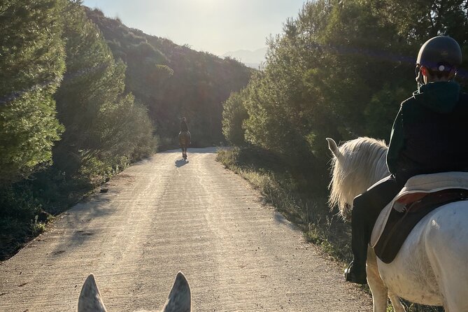 Malaga - guided horseback riding - Key points at a glance
