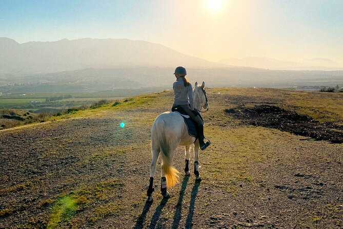 Malaga - guided horseback riding - Choosing your horse and getting settled