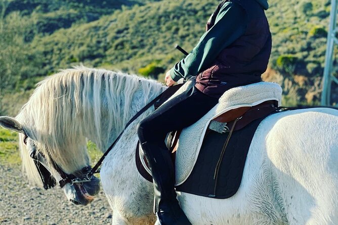 Malaga - guided horseback riding - How long is the ride really?