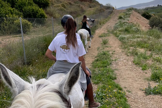 Malaga - guided horseback riding - Who will enjoy this most?