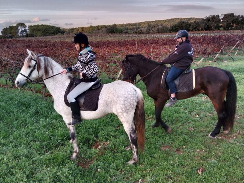 Mallorca: Authentic Horseback Ride in Rural Mallorca - Key points to know before you book