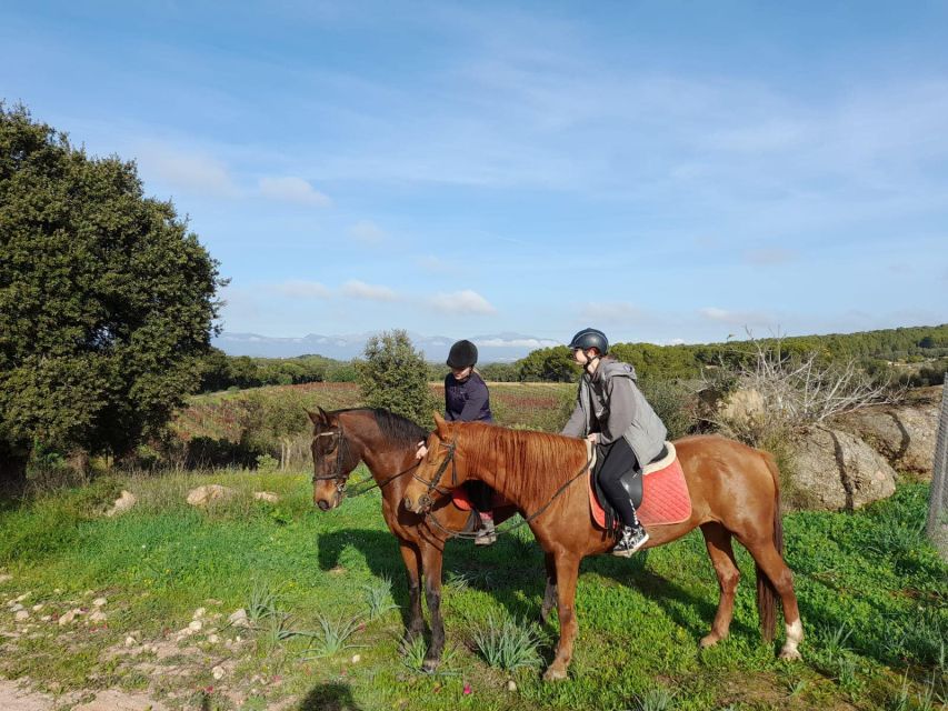 Mallorca: Authentic Horseback Ride in Rural Mallorca - Group size, flexibility, and practical planning