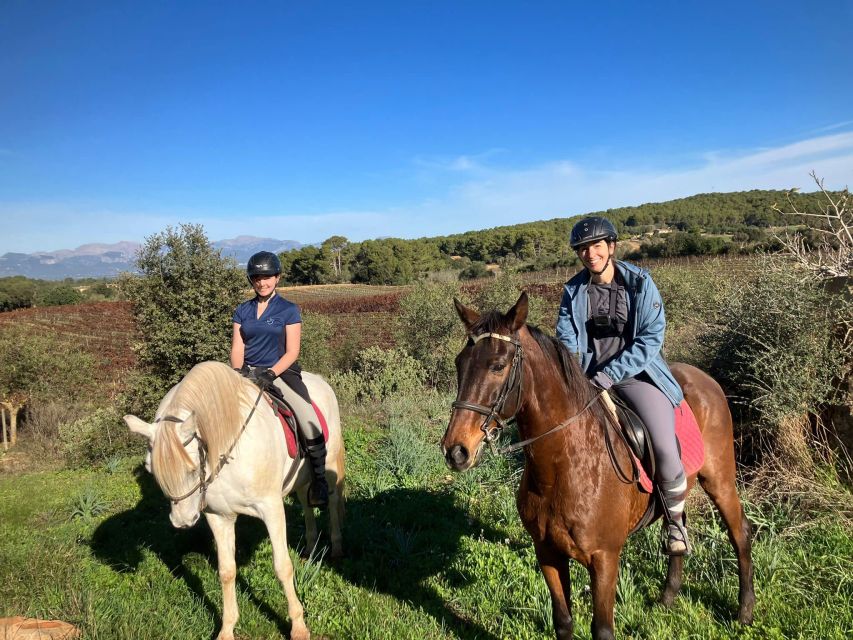 Mallorca: Authentic Horseback Ride in Rural Mallorca - The arena lesson gives you a useful start