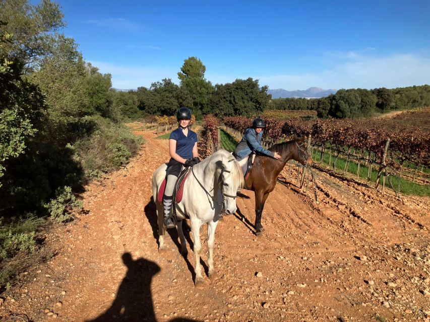 Mallorca: Authentic Horseback Ride in Rural Mallorca - Through the Randa Valley and its oak woods