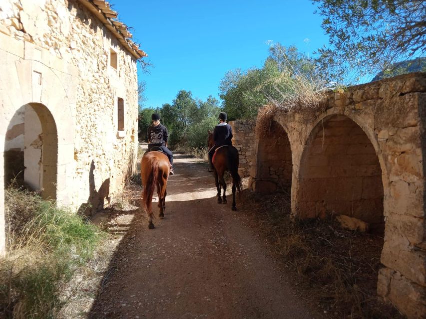 Mallorca: Authentic Horseback Ride in Rural Mallorca - Open trails for longer trots and canters