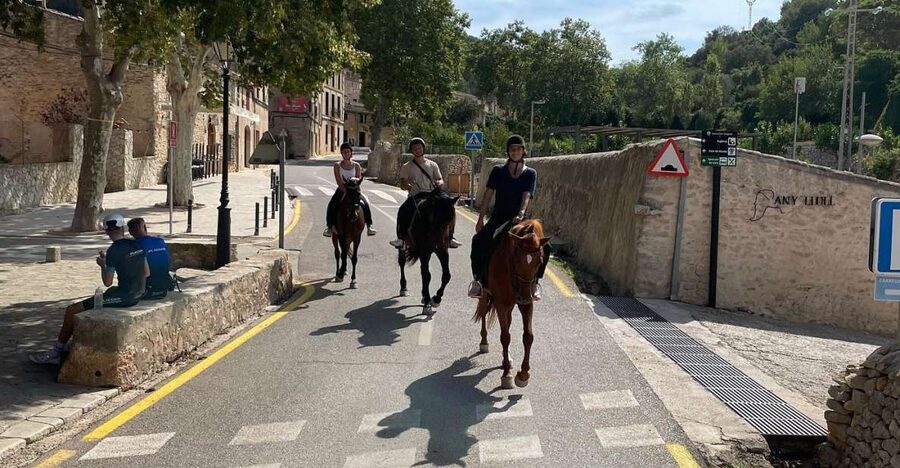 Mallorca: Authentic Horseback Ride in Rural Mallorca - A proper finish with grooming and horse care