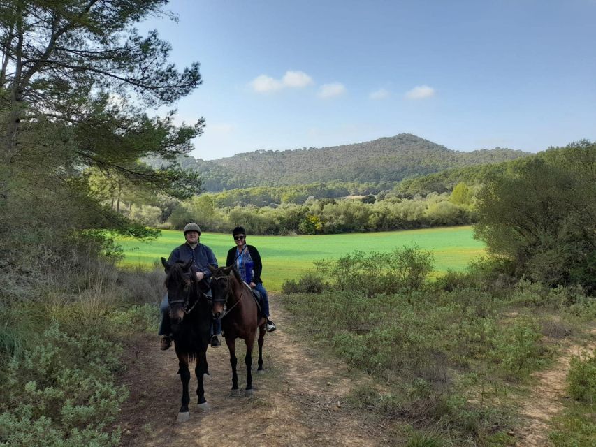 Mallorca: Authentic Horseback Ride in Rural Mallorca - What the 177 dollar price includes