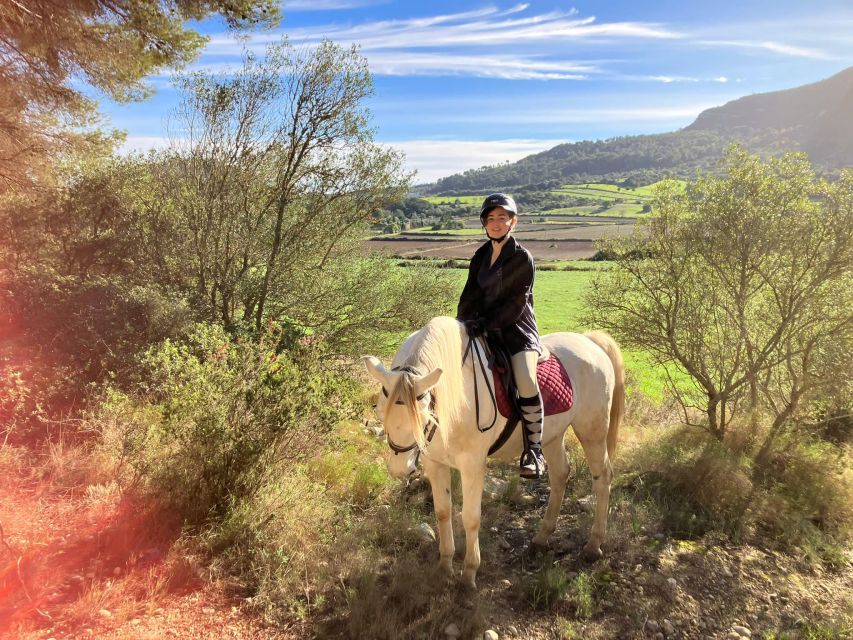 Mallorca: Authentic Horseback Ride in Rural Mallorca - Who should book this Mallorca horseback ride
