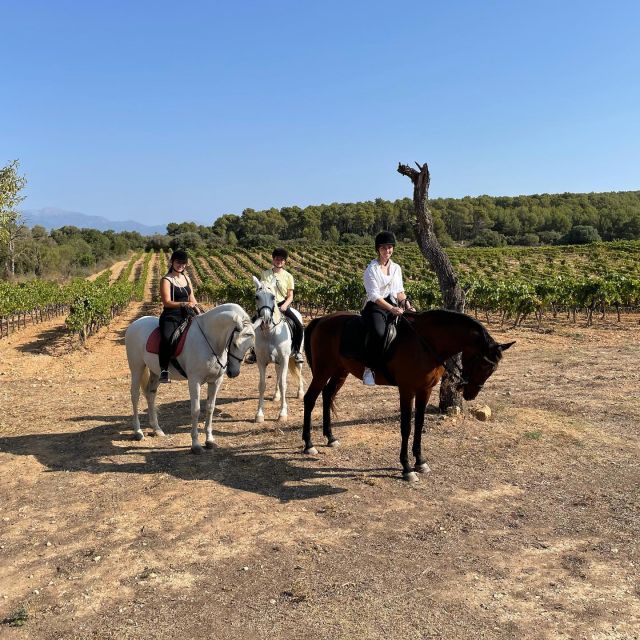 Mallorca: Authentic Horseback Ride in Rural Mallorca - Meeting the Andalusian horses before the ride