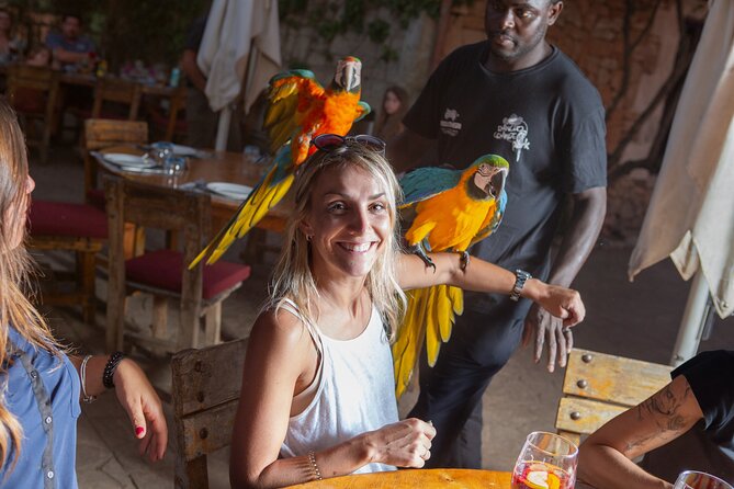 Mallorca Evening Tour: Horseback Riding, Dinner and Dance - Group Size, Waiting and the Real Pace of the Evening
