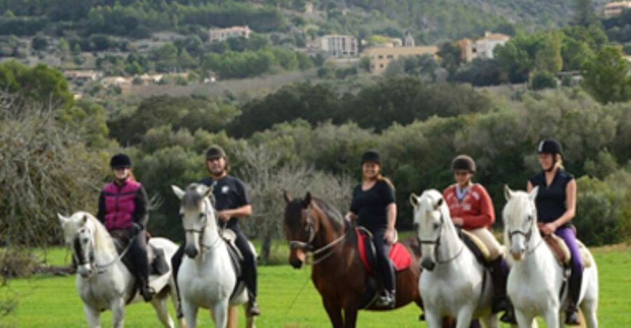 Mallorca: Guided Horseback Ride in Randa Valley - Key points at a glance