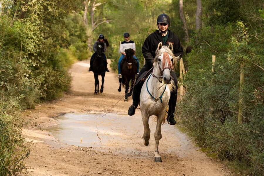 Mallorca: Guided Horseback Ride in Randa Valley - Practical details before you go