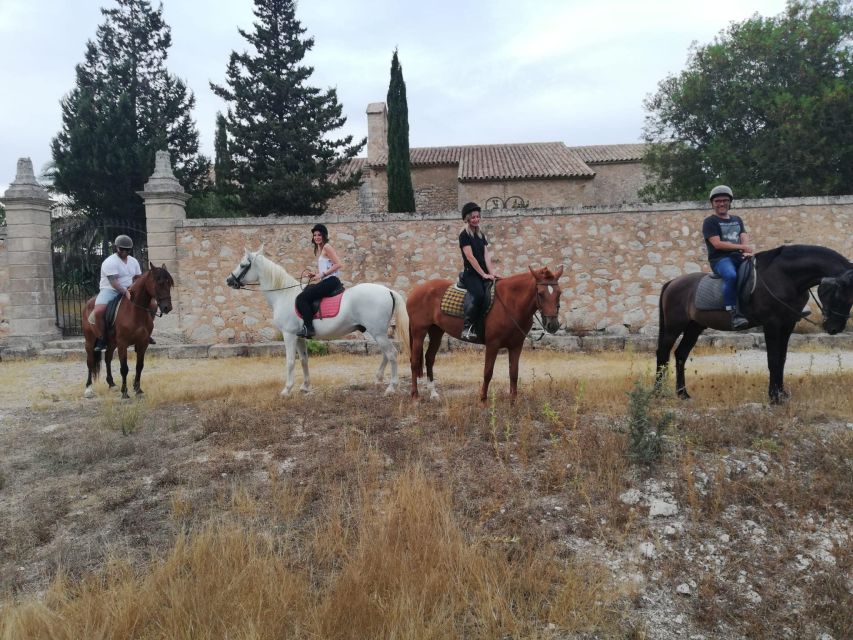 Mallorca: Guided Horseback Ride in Randa Valley - Why the Randa Valley ride works so well