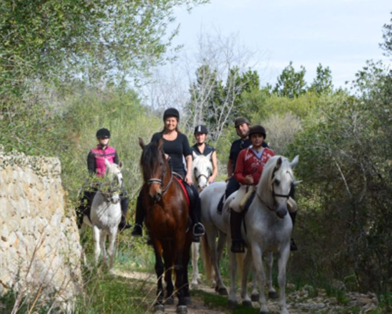 Mallorca: Guided Horseback Ride in Randa Valley - The arena session builds confidence