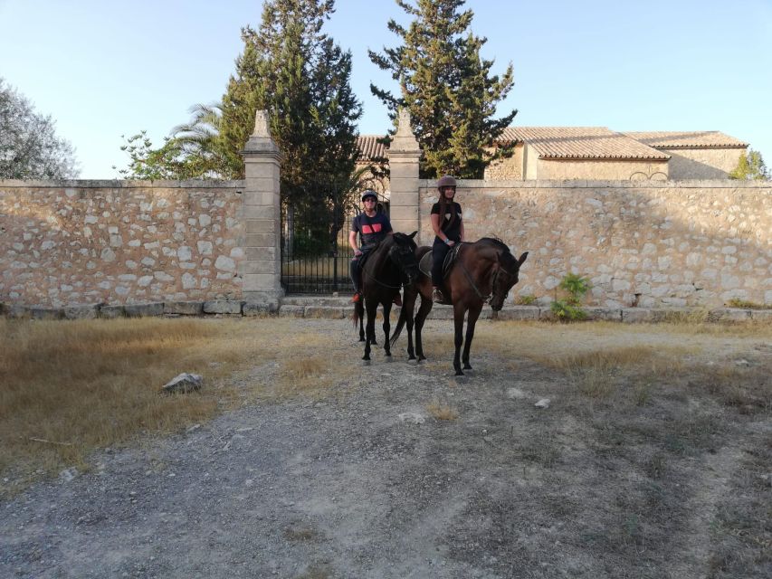 Mallorca: Guided Horseback Ride in Randa Valley - Riding through meadows, woods, and mountain country