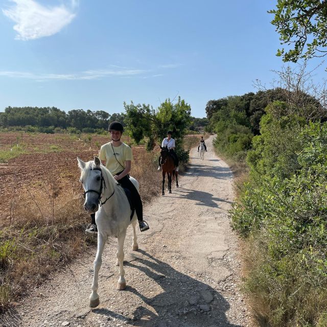 Mallorca: Guided Horseback Ride in Randa Valley - Trotting and cantering are optional