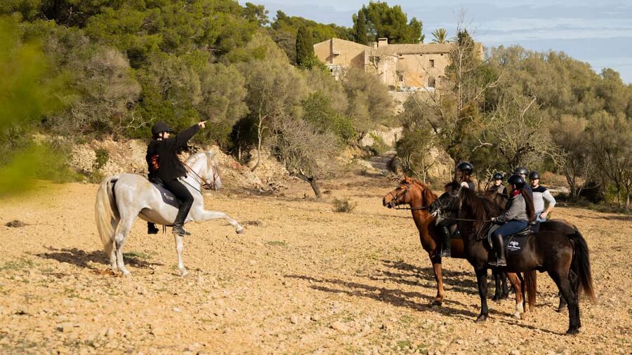 Mallorca: Guided Horseback Ride in Randa Valley - Grooming and tacking up before the ride