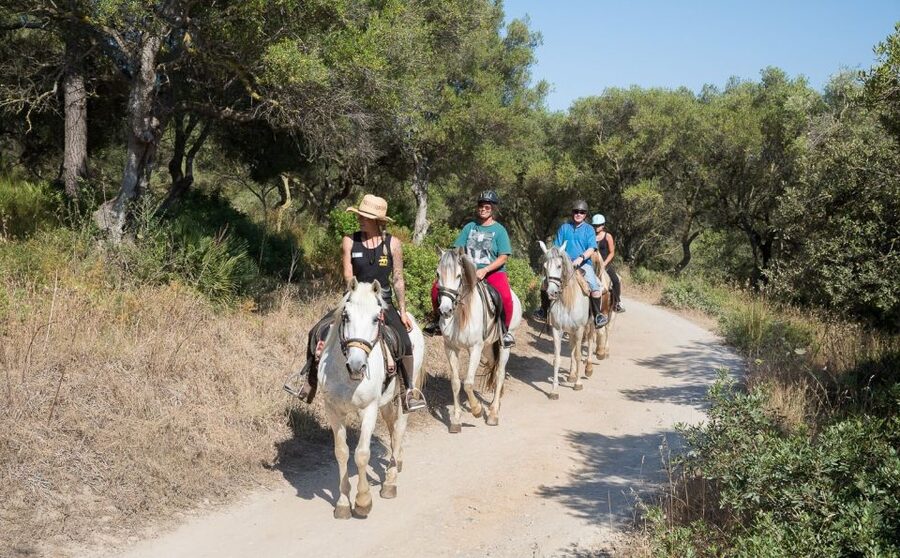 Mallorca: Horseback Riding Excursion and Wine Tasting - A horseback view of Alcudia’s inland side