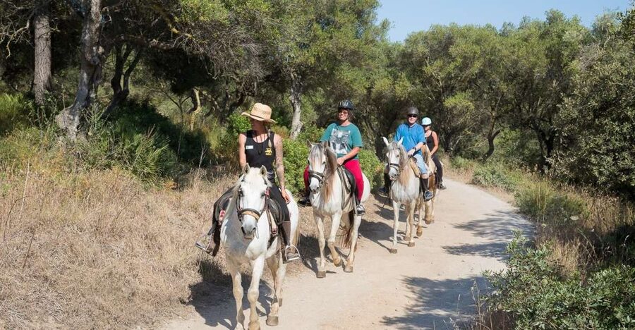 Mallorca: Horseback Riding Excursion and Wine Tasting - Arriving at Ranxo Ses Roques