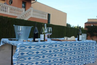 Horseback Riding Excursion and Wine Tasting