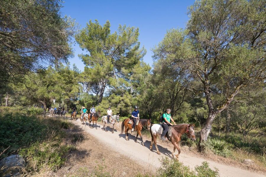 Mallorca: Horseback Riding Excursion and Wine Tasting - From riding gear to wine glasses