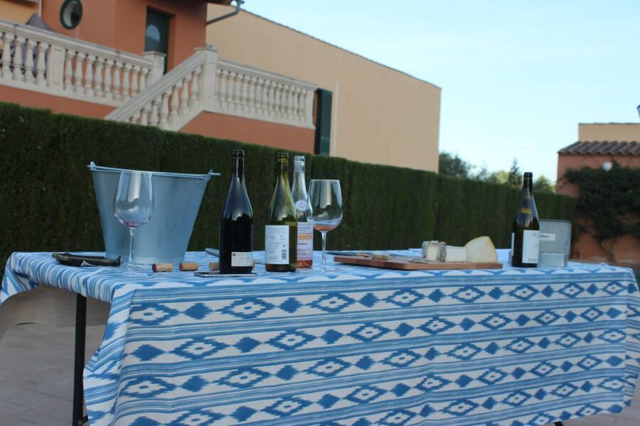 Mallorca: Horseback Riding Excursion and Wine Tasting - Choosing the right horse for your ability