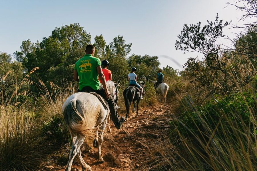 Mallorca: Horseback Riding Experience with Food Options - Who Will Enjoy This Ranch Ride Most?