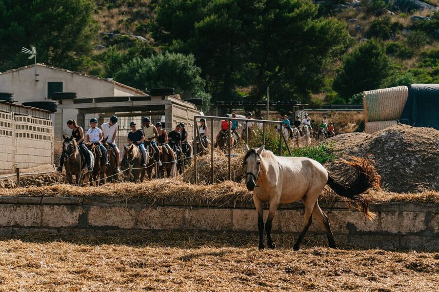 Mallorca: Horseback Riding Experience with Food Options - Beginner Riding Without Leaving Experienced Riders Behind