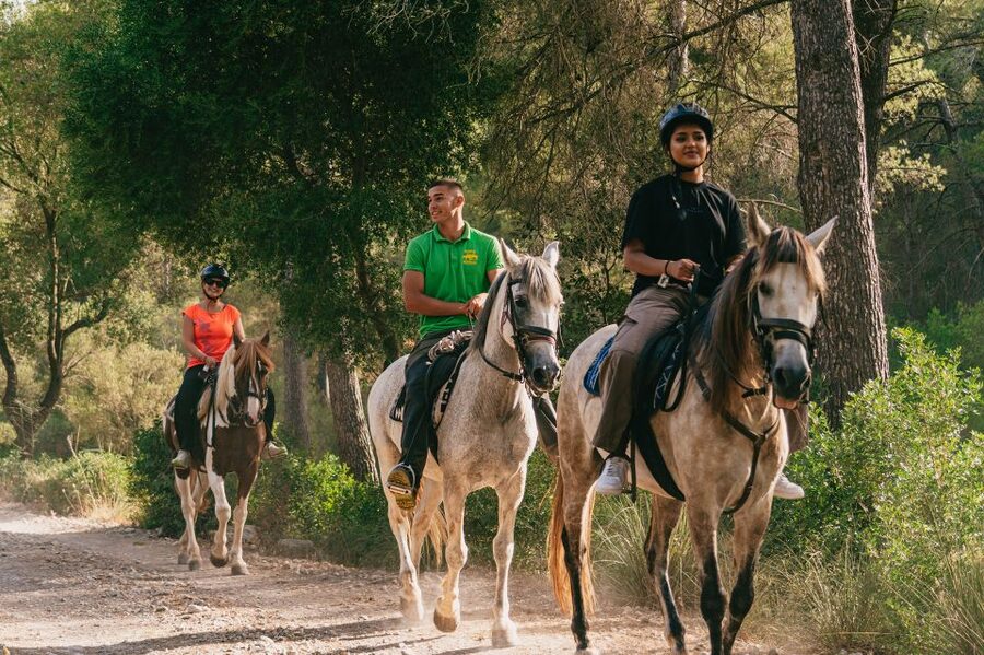 Mallorca: Horseback Riding Experience with Food Options - What the Food Options Add