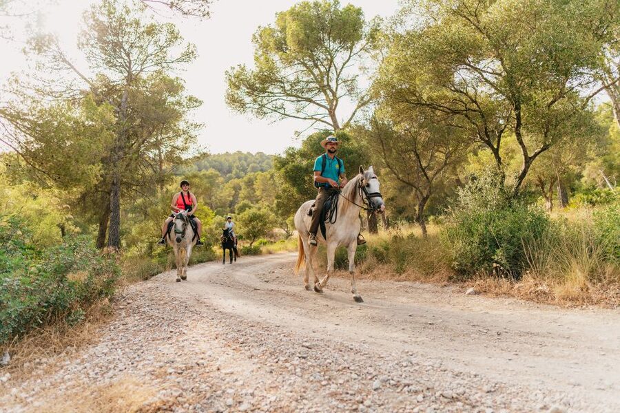 Mallorca: Horseback Riding Experience with Food Options - Is $42 Good Value?