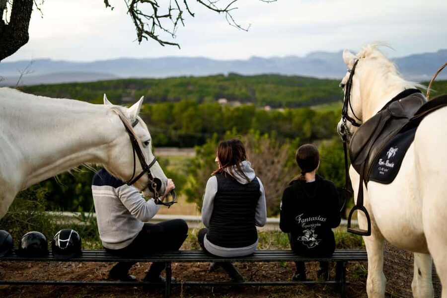 Mallorca: Sunset Horseback Ride with Drinks - Riding below Puig de Randa
