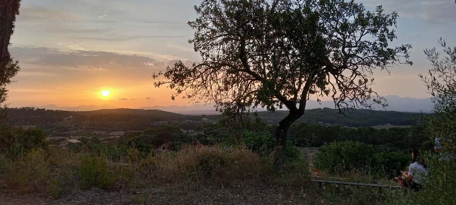 Mallorca: Sunset Horseback Ride with Drinks - What to wear and how to prepare