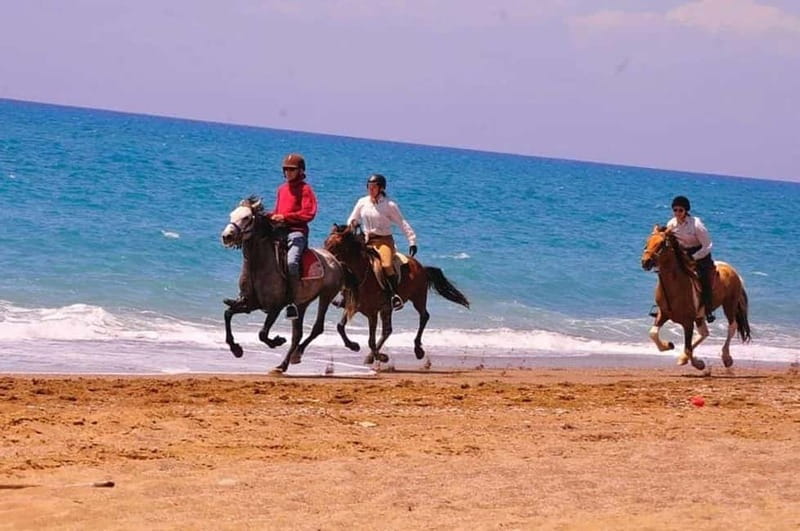 Manavgat Side: Horse Riding on the Beach and in the Forest - What the Side horse ride is really like