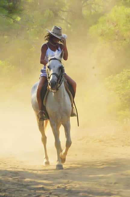 Manavgat Side: Horse Riding on the Beach and in the Forest - Who should book this ride?