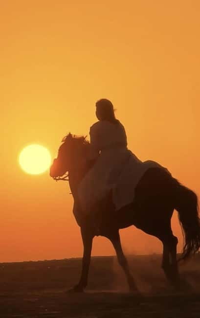 Manavgat Side: Horse Riding on the Beach and in the Forest - Timing, weather, and what to wear