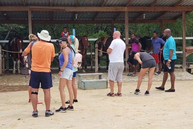 Mangrove tour,Horseback Riding, Snorkeling and beach in Roatan - Key points to know before booking