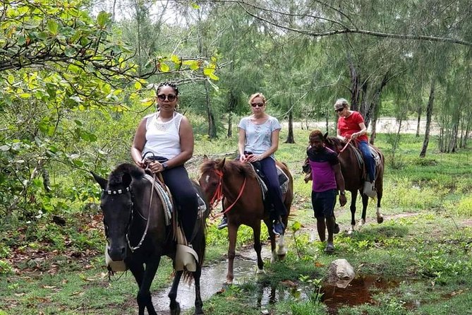 Mangrove tour,Horseback Riding, Snorkeling and beach in Roatan - The long road to Roatan’s East End
