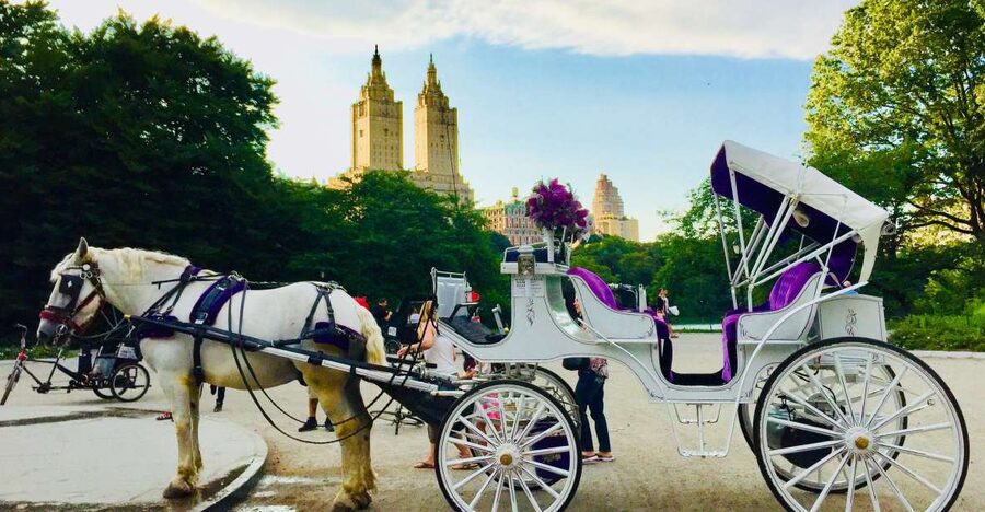 Manhattan: VIP Private Horse Carriage Ride in Central Park - Why a carriage is a different way to see Central Park