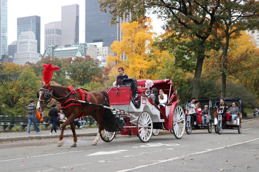 Manhattan: VIP Private Horse Carriage Ride in Central Park - Bow Bridge, Strawberry Fields, and Sheep Meadow