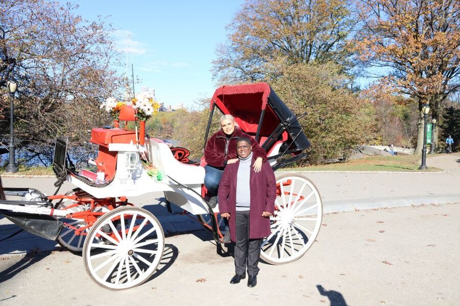 Manhattan: VIP Private Horse Carriage Ride in Central Park - Is $280 a fair price for one hour?