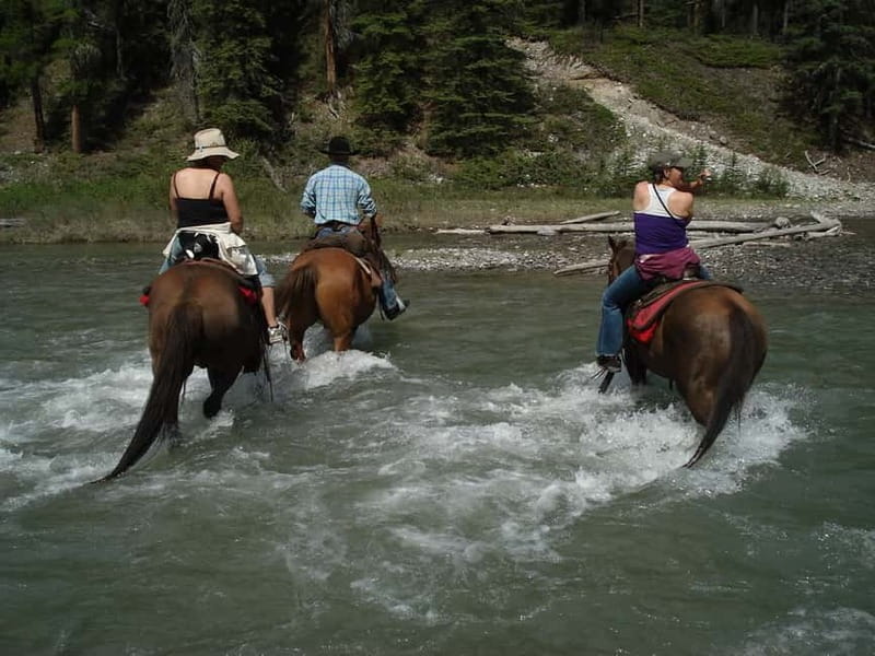 Marmaris: Horse Riding & Safari with Hotel Transfer - Key points to know before you book