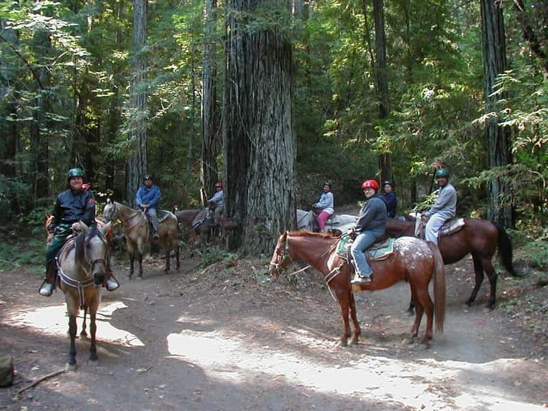 Marmaris: Horse Riding & Safari with Hotel Transfer - Time at the ranch and its animals