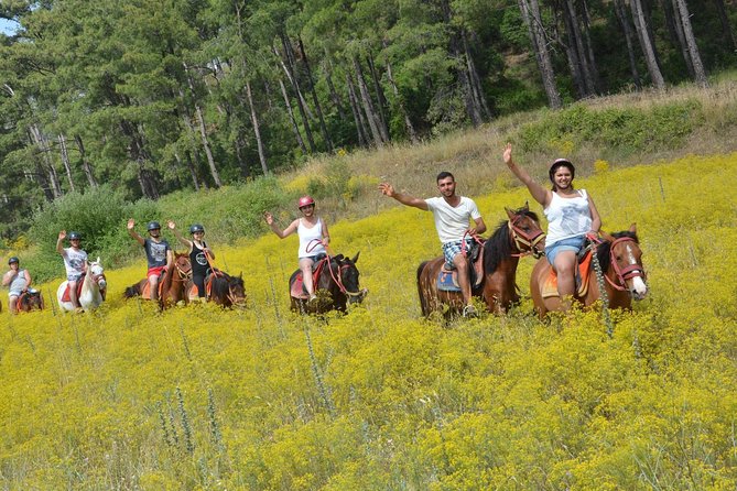 Marmaris Horse Safari - Key things to know before you book