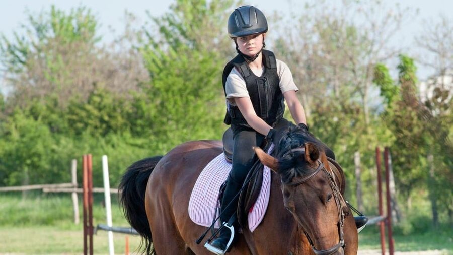 Marmaris Horse Safari - Languages, Safety, and Comfort