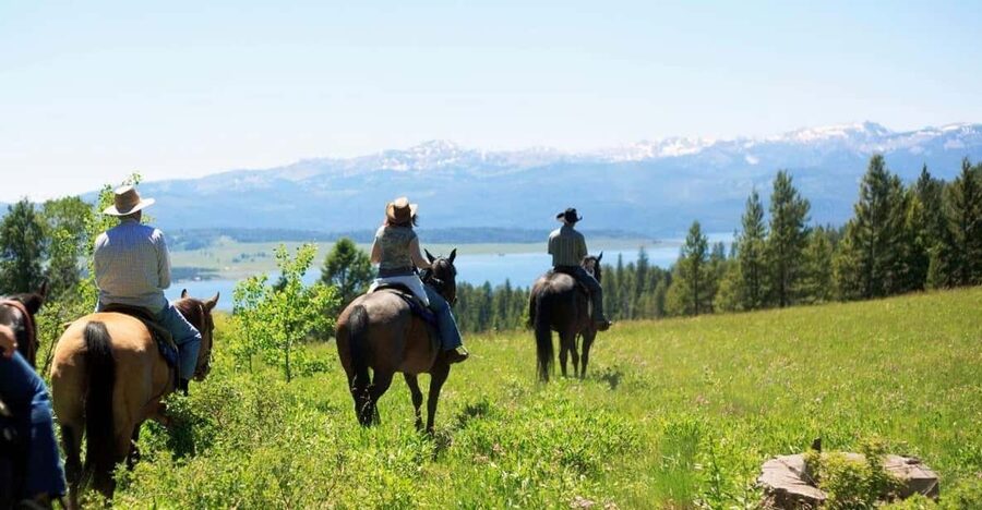 Marmaris Horse Safari - Who Will Enjoy This Most