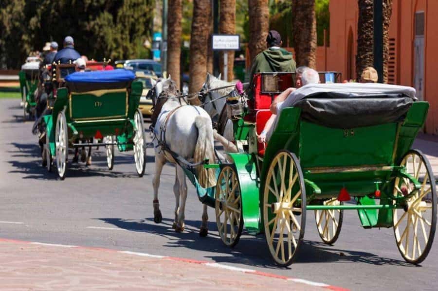 Marrakech: 1-Hour Traditional Horse-Drawn Carriage Tour - Key points to know before you book